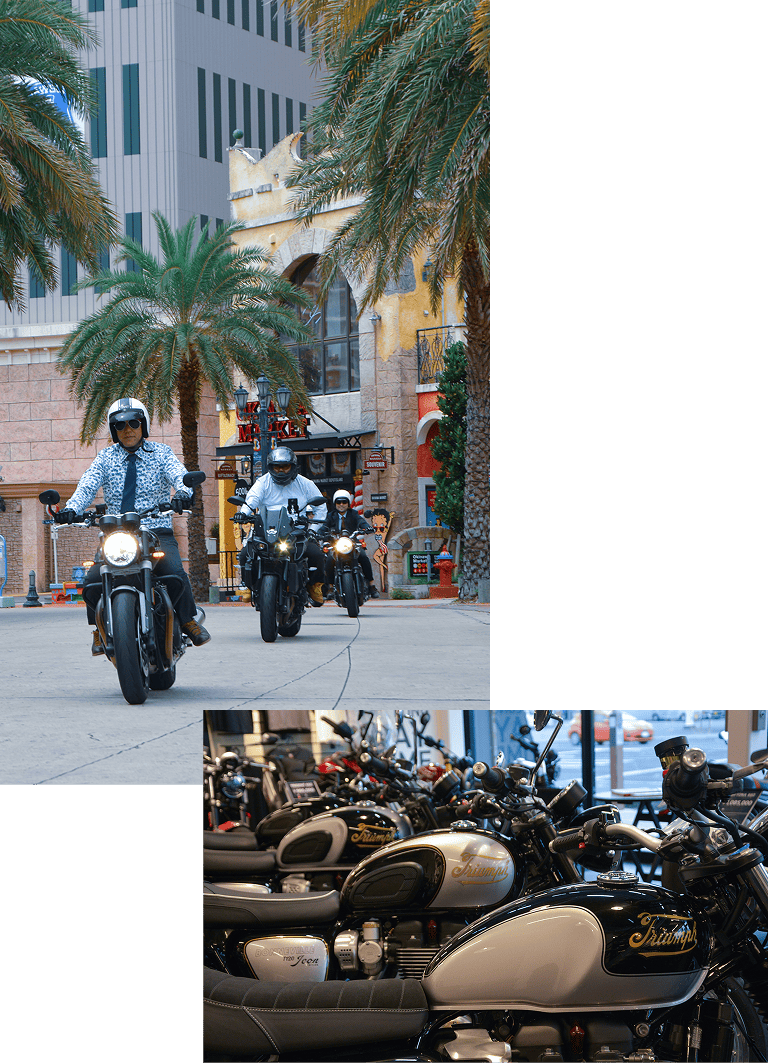 トライアンフイメージ